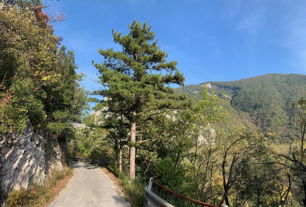 Frühstückspension La Forestale Luxury Primo Piano Acqualagna