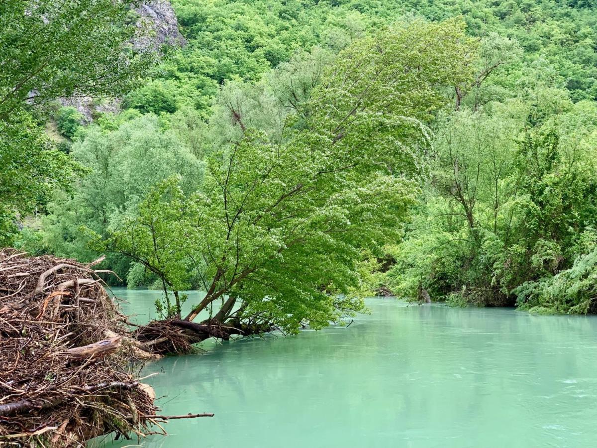 La Forestale Luxury Primo Piano Acqualagna
