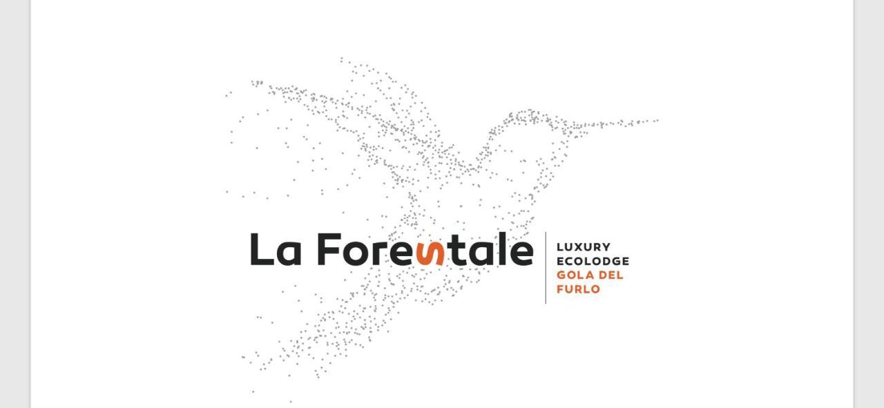 La Forestale Luxury Primo Piano Frühstückspension Acqualagna