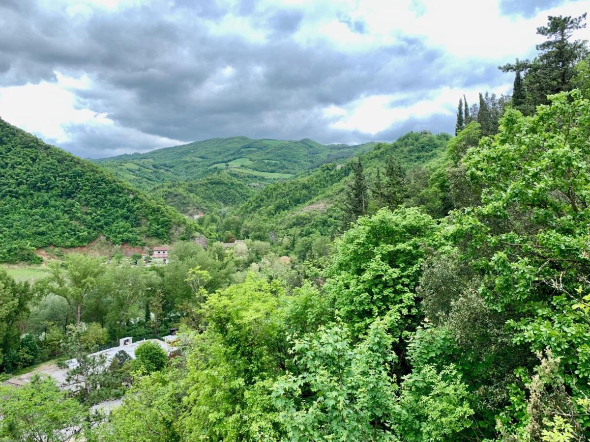 La Forestale Luxury Primo Piano * Acqualagna