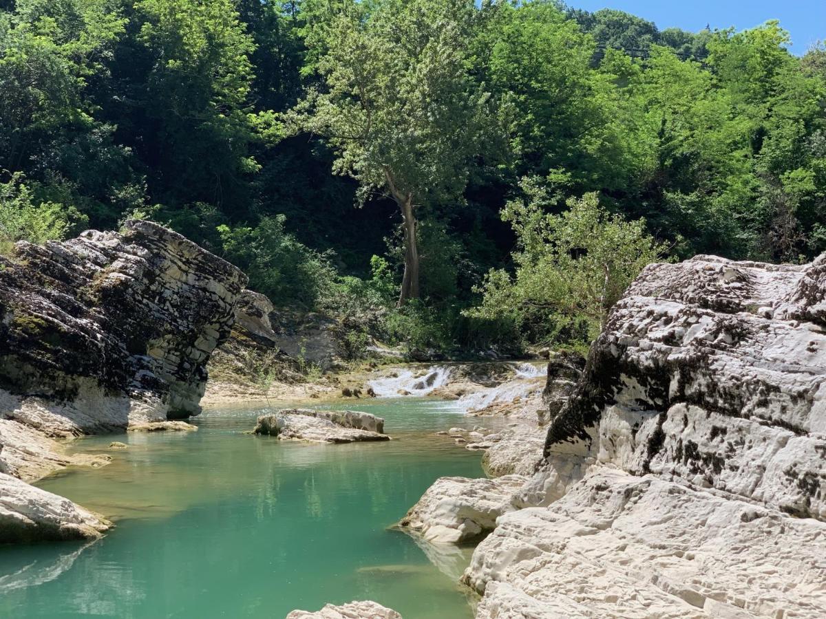 La Forestale Luxury Primo Piano * Acqualagna
